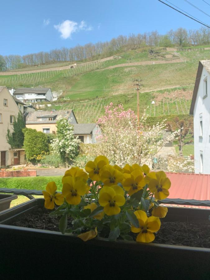 Ferienwohnung Mila Obernhof Exteriör bild